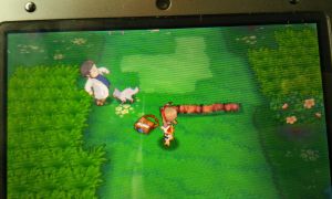 Kurz darauf finde ich Professor Birk, der von einem Fiffyen angeknurrt wird. Baka...hinter ihm ist Gras, er könnte einfach wegrennen. Aber egal...tun wir ihm halt den Gefallen und retten ihn mit einem der Pokemon aus dem Beutel...