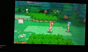 Während ich auf meiner Mission bin bemerke ich dass ich wohl besser bin als Sam Fisher. Wenn ich durch das Gras schleiche bemerken mich wilde Pokemon kaum...also SHHHHHHH!