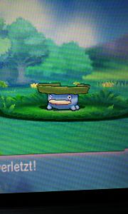 Das erste Derpy Pokemon meiner Reise. Es ist wunderschön. =w=
