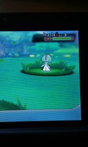 Mission 02: ein Trasla finden und fangen: Check. 