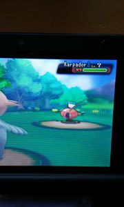 wieder traf mich das Mitleid hart. Karpador...das ärmste Pokemon von allen...und in jeder Generation sieht es noch trauriger aus. 